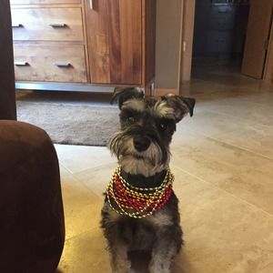 Meet your Posher, Fritz